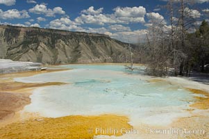 Canary Spring, Mammoth Hot Springs, Yellowstone National Park, Wyoming