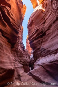 Canyon X, a spectacular slot canyon near Page, Arizona.  Slot canyons are formed when water and wind erode a cut through a (usually sandstone) mesa, producing a very narrow passage that may be as slim as a few feet and a hundred feet or more in height. USA, natural history stock photograph, photo id 36017
