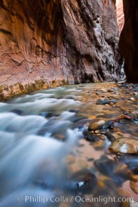 The Virgin River flows through the Zion Narrows, with tall sandstone walls towering hundreds of feet above.