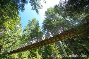 Capilano Suspension Bridge, 140 m (450 ft) long and hanging 70 m (230 ft) above the Capilano River.  The two pre-stressed steel cables supporting the bridge are each capable of supporting 45,000 kgs and together can hold about 1300 people, Vancouver, British Columbia, Canada