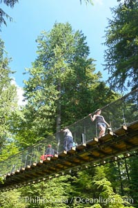 Capilano Suspension Bridge, 140 m (450 ft) long and hanging 70 m (230 ft) above the Capilano River.  The two pre-stressed steel cables supporting the bridge are each capable of supporting 45,000 kgs and together can hold about 1300 people, Vancouver, British Columbia, Canada