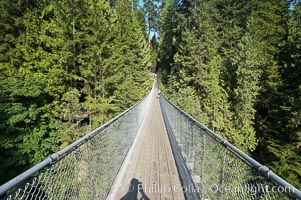 Capilano Suspension Bridge, 140 m (450 ft) long and hanging 70 m (230 ft) above the Capilano River.  The two pre-stressed steel cables supporting the bridge are each capable of supporting 45,000 kgs and together can hold about 1300 people, Vancouver, British Columbia, Canada