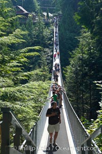 Capilano Suspension Bridge, 140 m (450 ft) long and hanging 70 m (230 ft) above the Capilano River.  The two pre-stressed steel cables supporting the bridge are each capable of supporting 45,000 kgs and together can hold about 1300 people, Vancouver, British Columbia, Canada