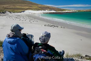 Visitors watch gentoo and Magellanic penguins on beautiful Leopard Beach, coming ashore after they have foraged at sea.