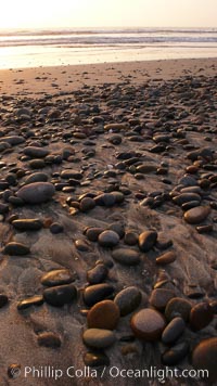 Cobblestones on a flat sand beach.  Cobble stones are polished round and smooth by years of wave energy.  They are alternately exposed and covered by sand depending on the tides, waves and seasons of the year.  Cobblestones are common on the beaches of southern California, contained in the sandstone bluffs along the beach and released onto the beach as the bluffs erode, Carlsbad