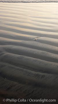 Patterns in the sand on a flat sandy beach at the water's edge, Carlsbad, California