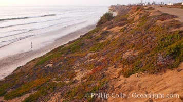 Eroding sandstone bluffs rise above a flat sand beach at sunset, small waves coming ashore, north of South Carlsbad State Beach