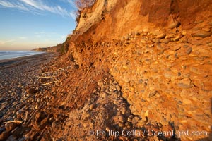 Beach cliffs made of soft clay continually erode, adding fresh sand and cobble stones to the beach.  The sand will flow away with ocean currents, leading for further erosion of the cliffs, Carlsbad, California