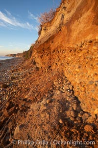 Beach cliffs made of soft clay continually erode, adding fresh sand and cobble stones to the beach.  The sand will flow away with ocean currents, leading for further erosion of the cliffs, Carlsbad, California