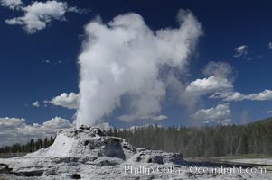 Castle Geyser erupting. Upper Geyser Basin, Yellowstone National Park, Wyoming