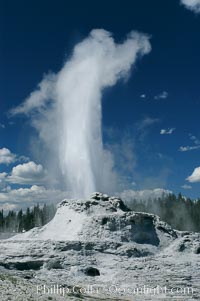 Castle Geyser erupting. Upper Geyser Basin, Yellowstone National Park, Wyoming