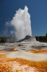 Castle Geyser erupts with the colorful bacteria mats of Tortoise Shell Spring in the foreground.  Castle Geyser reaches 60 to 90 feet in height and lasts 20 minutes.  While Castle Geyser has a 12 foot sinter cone that took 5,000 to 15,000 years to form, it is in fact situated atop geyserite terraces that themselves may have taken 200,000 years to form, making it likely the oldest active geyser in the park. Upper Geyser Basin, Yellowstone National Park, Wyoming