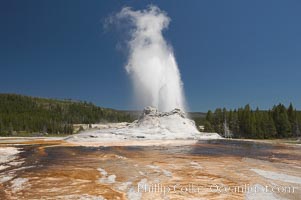 Castle Geyser erupts with the colorful bacteria mats of Tortoise Shell Spring in the foreground.  Castle Geyser reaches 60 to 90 feet in height and lasts 20 minutes.  While Castle Geyser has a 12 foot sinter cone that took 5,000 to 15,000 years to form, it is in fact situated atop geyserite terraces that themselves may have taken 200,000 years to form, making it likely the oldest active geyser in the park. Upper Geyser Basin, Yellowstone National Park, Wyoming