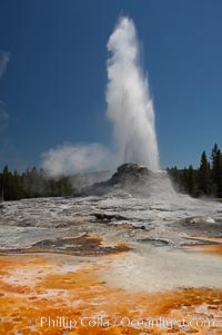 Castle Geyser erupts with the colorful bacteria mats of Tortoise Shell Spring in the foreground.  Castle Geyser reaches 60 to 90 feet in height and lasts 20 minutes.  While Castle Geyser has a 12 foot sinter cone that took 5,000 to 15,000 years to form, it is in fact situated atop geyserite terraces that themselves may have taken 200,000 years to form, making it likely the oldest active geyser in the park. Upper Geyser Basin, Yellowstone National Park, Wyoming