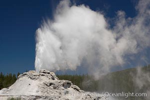 Castle Geyser erupts, reaching 60 to 90 feet in height and lasting 20 minutes.  While Castle Geyser has a 12 foot sinter cone that took 5,000 to 15,000 years to form, it is in fact situated atop geyserite terraces that themselves may have taken 200,000 years to form, making it likely the oldest active geyser in the park. Upper Geyser Basin, Yellowstone National Park, Wyoming