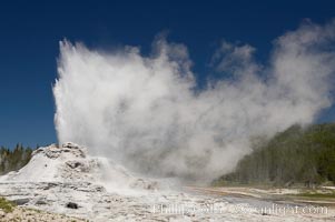 Castle Geyser erupts, reaching 60 to 90 feet in height and lasting 20 minutes.  While Castle Geyser has a 12 foot sinter cone that took 5,000 to 15,000 years to form, it is in fact situated atop geyserite terraces that themselves may have taken 200,000 years to form, making it likely the oldest active geyser in the park. Upper Geyser Basin, Yellowstone National Park, Wyoming