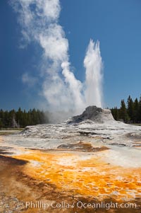 Castle Geyser erupts with the colorful bacteria mats of Tortoise Shell Spring in the foreground.  Castle Geyser reaches 60 to 90 feet in height and lasts 20 minutes.  While Castle Geyser has a 12 foot sinter cone that took 5,000 to 15,000 years to form, it is in fact situated atop geyserite terraces that themselves may have taken 200,000 years to form, making it likely the oldest active geyser in the park. Upper Geyser Basin, Yellowstone National Park, Wyoming