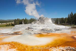 Castle Geyser (during steam phase, not eruption) with the colorful bacteria mats of Tortoise Shell Spring in the foreground. While Castle Geyser has a 12 foot sinter cone that took 5,000 to 15,000 years to form, it is in fact situated atop geyserite terraces that themselves may have taken 200,000 years to form, making it likely the oldest active geyser in the park. Upper Geyser Basin, Yellowstone National Park, Wyoming