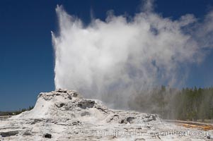 Castle Geyser erupts, reaching 60 to 90 feet in height and lasting 20 minutes.  While Castle Geyser has a 12 foot sinter cone that took 5,000 to 15,000 years to form, it is in fact situated atop geyserite terraces that themselves may have taken 200,000 years to form, making it likely the oldest active geyser in the park. Upper Geyser Basin, Yellowstone National Park, Wyoming