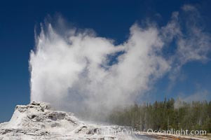 Castle Geyser erupts, reaching 60 to 90 feet in height and lasting 20 minutes.  While Castle Geyser has a 12 foot sinter cone that took 5,000 to 15,000 years to form, it is in fact situated atop geyserite terraces that themselves may have taken 200,000 years to form, making it likely the oldest active geyser in the park. Upper Geyser Basin, Yellowstone National Park, Wyoming