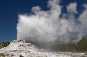 Castle Geyser erupts, reaching 60 to 90 feet in height and lasting 20 minutes.  While Castle Geyser has a 12 foot sinter cone that took 5,000 to 15,000 years to form, it is in fact situated atop geyserite terraces that themselves may have taken 200,000 years to form, making it likely the oldest active geyser in the park. Upper Geyser Basin, Yellowstone National Park, Wyoming