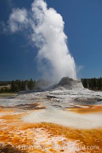 Castle Geyser erupts with the colorful bacteria mats of Tortoise Shell Spring in the foreground.  Castle Geyser reaches 60 to 90 feet in height and lasts 20 minutes.  While Castle Geyser has a 12 foot sinter cone that took 5,000 to 15,000 years to form, it is in fact situated atop geyserite terraces that themselves may have taken 200,000 years to form, making it likely the oldest active geyser in the park. Upper Geyser Basin, Yellowstone National Park, Wyoming