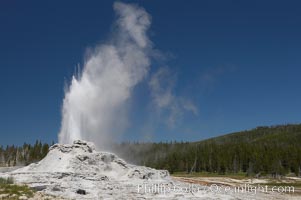 Castle Geyser erupts, reaching 60 to 90 feet in height and lasting 20 minutes.  While Castle Geyser has a 12 foot sinter cone that took 5,000 to 15,000 years to form, it is in fact situated atop geyserite terraces that themselves may have taken 200,000 years to form, making it likely the oldest active geyser in the park. Upper Geyser Basin, Yellowstone National Park, Wyoming