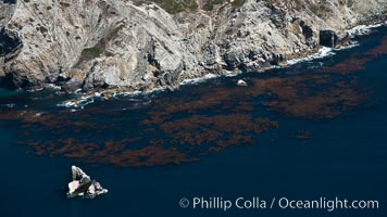 Catalina Island, showing kelp beds around Eagle Rock and West End