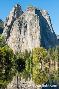 Cathedral Rocks reflected in a meadow flooded by the Merced River, historical snowmelt following record snowfall floods Yosemite Valley in May 2023, Yosemite National Park, California