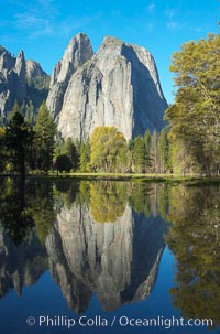 Cathedral Rocks is reflected in flooded El Capitan Meadow, springtime morning.  Yosemite Valley, Yosemite National Park, California