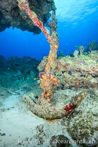 Cayman Islands Caribbean reef scene, Grand Cayman Island