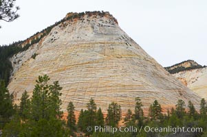 Checkerboard Mesa, a good example of crossbedding (horizontal lines) and vertical cracks caused by thermal expansion/contraction. Navajo sandstone forms the cliffs and walls of Zion National Park. The sandstone reaches a thickness of 2300 feet and consists of ancient cemented desert sand dunes. Horizontal lines, commonly called crossbedding, represent layers of wind-blown sand that built up into sand dunes. These dunes were then buried, and the sand grains glued together by calcite and iron oxide to form sandstone