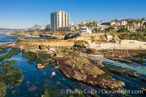 Childrens Pool Reef Exposed at Extreme Low Tide, La Jolla, California