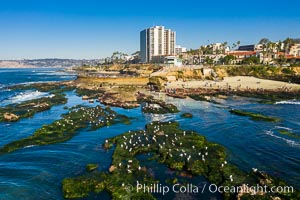 Childrens Pool Reef Exposed at Extreme Low King Tide, La Jolla, California. Aerial panoramic photograph, Children's Pool