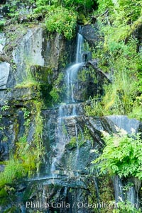 Little Christine Falls, Mount Rainier National Park, Washington
