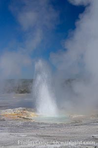 Clepsydra Geyser erupts almost continuously, reaching heights of  feet.  Its name is Greek for water clock, since at one time it erupted very regularly with a three minute interval.  Lower Geyser Basin, Yellowstone National Park, Wyoming