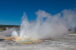 Clepsydra Geyser, a geyser which is almost continually erupting. A member of the Fountain Group of geothermal features. Lower Geyser Basin, Yellowstone National Park, Wyoming, USA, natural history stock photograph, photo id 26947