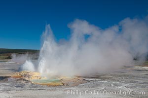 Clepsydra Geyser, a geyser which is almost continually erupting. A member of the Fountain Group of geothermal features, Lower Geyser Basin, Yellowstone National Park, Wyoming