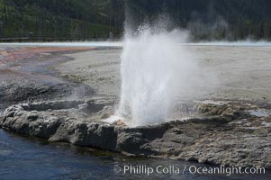 Cliff Geyser, Black Sand Basin, Yellowstone National Park, Wyoming