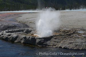 Cliff Geyser, Black Sand Basin, Yellowstone National Park, Wyoming