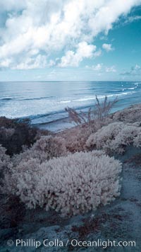 Coastal bluffs, waves, sky and clouds, Carlsbad, California