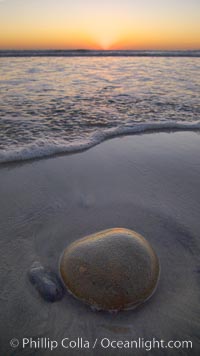 Cobblestone lies on the sand at the ocean's edge, sunset