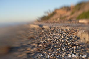 Cobblestones, South Carlsbad State Beach, Carlsbad, Ponto