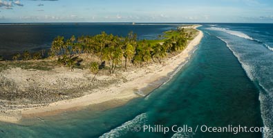 Coconut palm trees on Clipperton Island, aerial photo. Clipperton Island is a spectacular coral atoll in the eastern Pacific. By permit HC / 1485 / CAB (France)