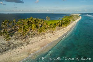 Coconut palm trees on Clipperton Island, aerial photo. Clipperton Island is a spectacular coral atoll in the eastern Pacific. By permit HC / 1485 / CAB (France)