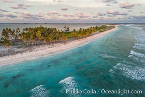 Coconut palm trees on Clipperton Island, aerial photo. Clipperton Island is a spectacular coral atoll in the eastern Pacific. By permit HC / 1485 / CAB (France)