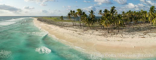Coconut palm trees on Clipperton Island, aerial photo. Clipperton Island is a spectacular coral atoll in the eastern Pacific. By permit HC / 1485 / CAB (France)., natural history stock photograph, photo id 32903