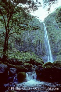 Cocos Island