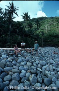 Cocos Island