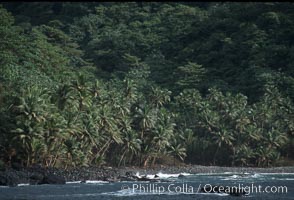 Shoreline, Cocos Island